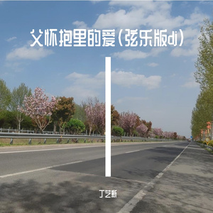 父怀抱里的爱(弦乐版dj)