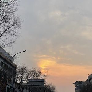 芝士咸蛋黄蛋糕