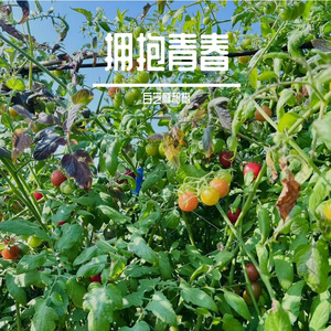 青春岁月静好美