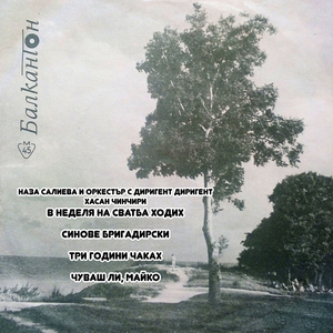 Синове бригадирски