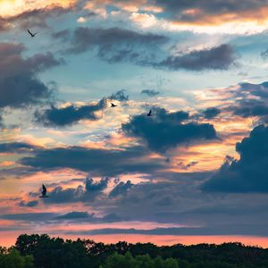 你的轮廓不敢忘