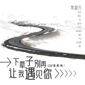 下辈子别再让我遇见你 (DJ浩然版)