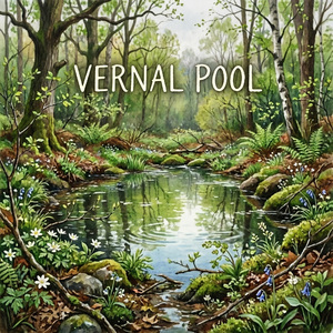Vernal Pool