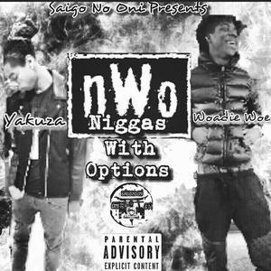 N.W.O (Niggas With Option)