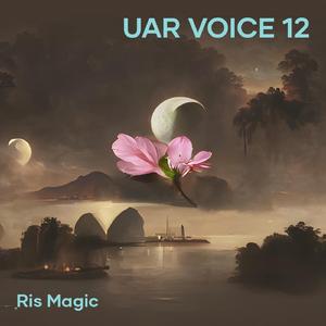 Uar Voice 12