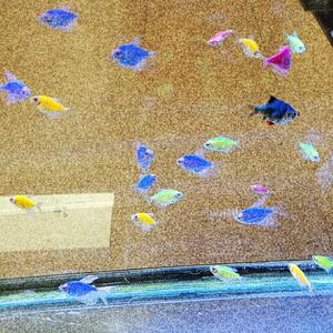 Hinterhältig (Sneaky)