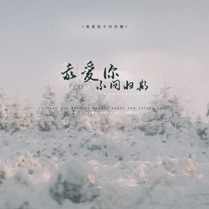 我爱你不问归期