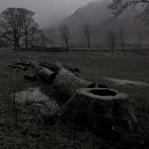 撒哈拉沙漠的故事