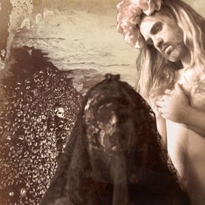 In The Company Of Wolves