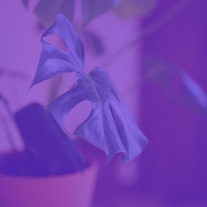 一尘不染时刻印象数