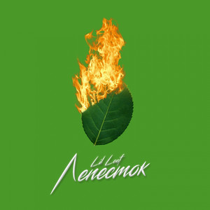Лепесток (Original)