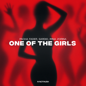 One of the Girls (Radio Mix)