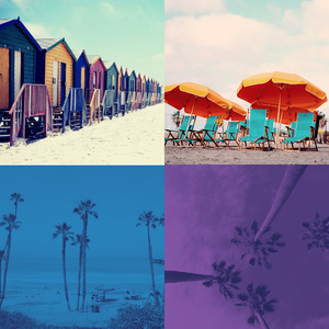 一尘不染烹饪印象数