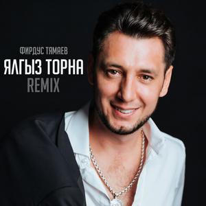 Ялгыз торна (Remix)