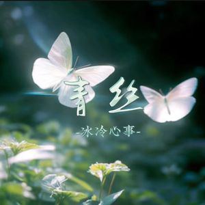 青丝（创业进行曲DJ版）