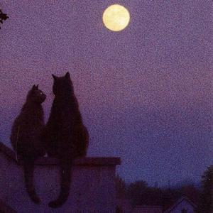 Shall I compare thee to a summer's day