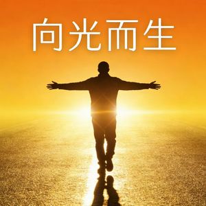 向光而生