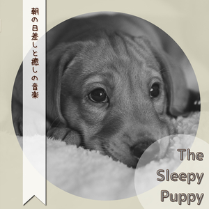 Bright Breezy Morning