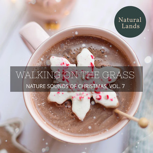 Graceful Winds and Cricket Buzz