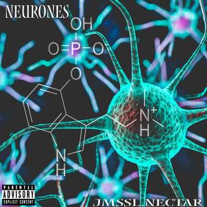 Neurones