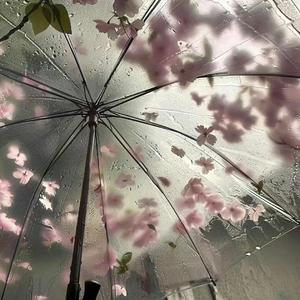 花瓣雨