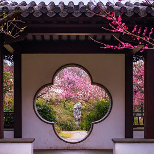 雨巷中的城市画卷