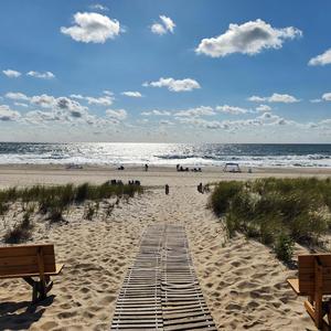 Tranquil Musings (feat. William Irvine)