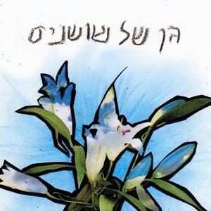 גן של שושנים