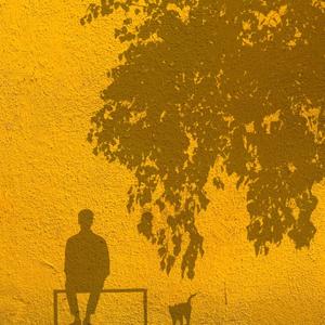 关于郑州的记忆。