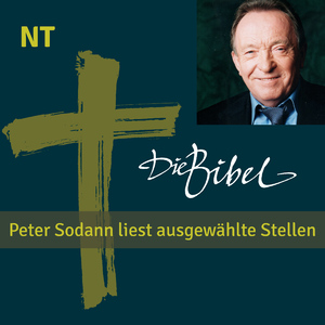 Die Bibel - NT - Das Matthäus-Evangelium - Die Bergpredigt (Track 17)
