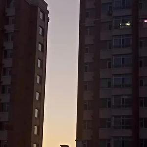 明月（翻自 李昃佑）