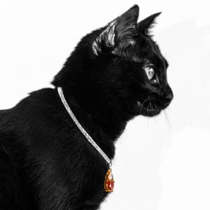 GET MY BRANDNEW LIFE