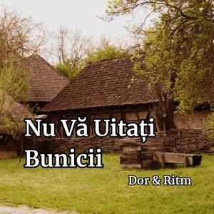 Nu vă uitați bunicii