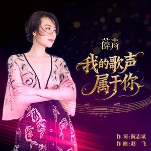 我的歌声属于你