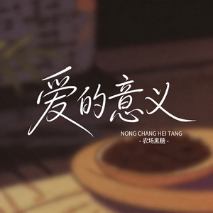 爱的意义 （原版）