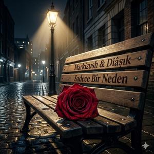 Sadece Bir Neden (Aşko Edit)