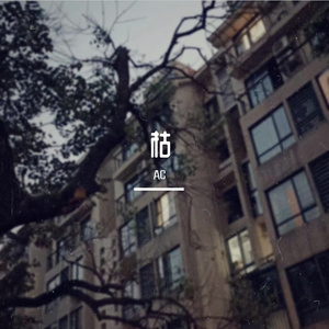 与黑暗共舞