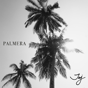 Palmera