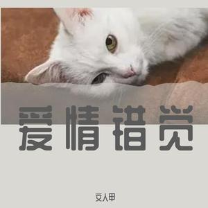 爱情错觉