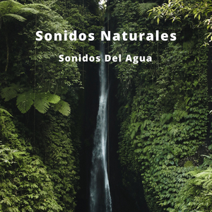 Fluidos Del Agua