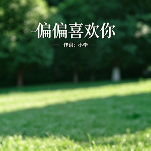 偏偏喜欢你