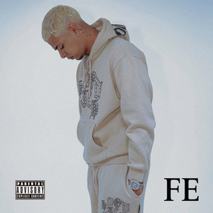 FE