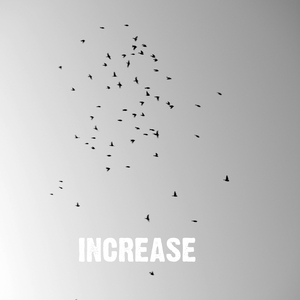 Increase