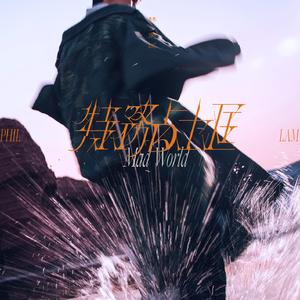 特务占士匡 Mad World