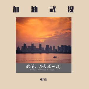 加油武汉