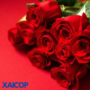 ขอให้เรามีกัน(ตลอดไป)