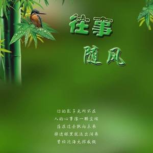 随风心愿