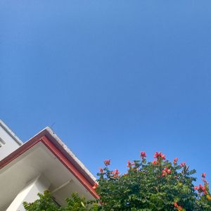 Summer   Heart Prod by SCORPION