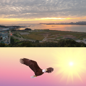 밤하늘에 퍼지는 기타 연주