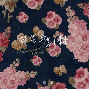 鲜花与荆棘（0.8X）